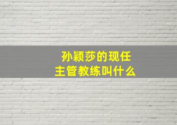 孙颖莎的现任主管教练叫什么