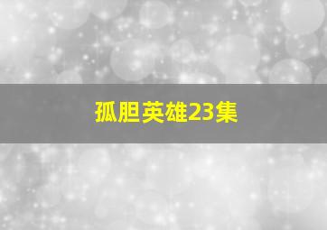 孤胆英雄23集