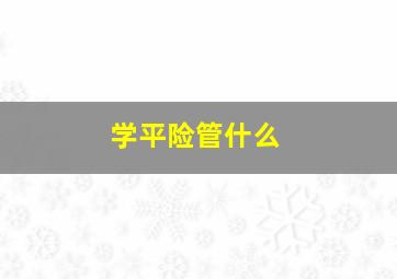 学平险管什么