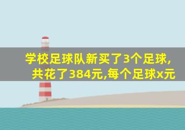 学校足球队新买了3个足球,共花了384元,每个足球x元