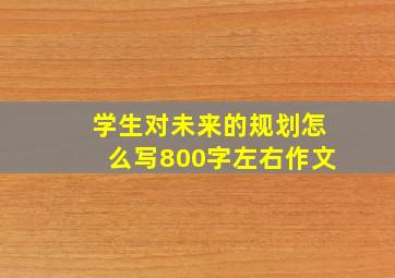 学生对未来的规划怎么写800字左右作文