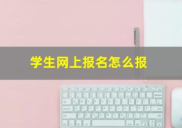 学生网上报名怎么报