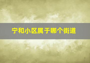 宁和小区属于哪个街道