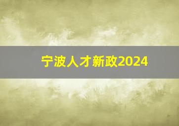 宁波人才新政2024