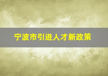 宁波市引进人才新政策