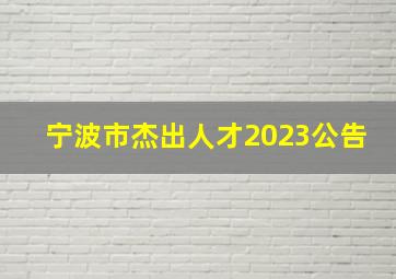 宁波市杰出人才2023公告