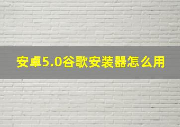 安卓5.0谷歌安装器怎么用