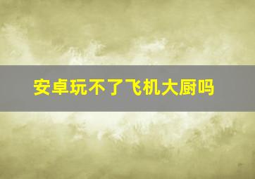 安卓玩不了飞机大厨吗