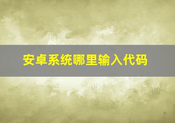 安卓系统哪里输入代码