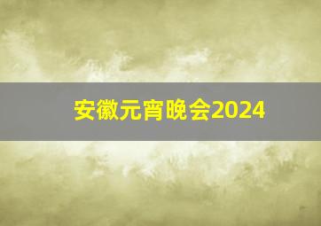 安徽元宵晚会2024