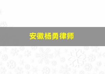 安徽杨勇律师