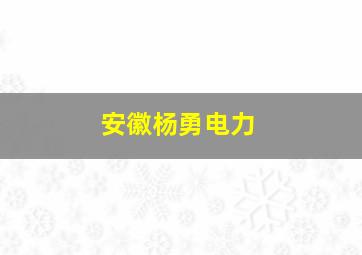 安徽杨勇电力