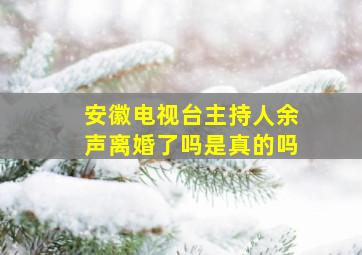 安徽电视台主持人余声离婚了吗是真的吗