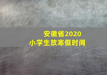 安徽省2020小学生放寒假时间