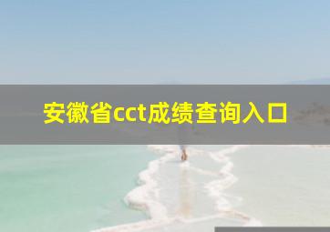 安徽省cct成绩查询入口