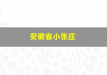 安徽省小张庄