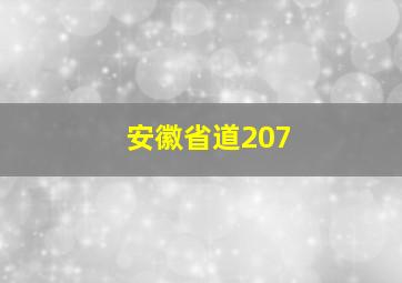 安徽省道207