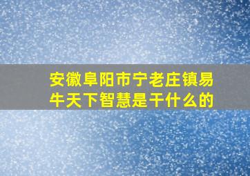 安徽阜阳市宁老庄镇易牛天下智慧是干什么的