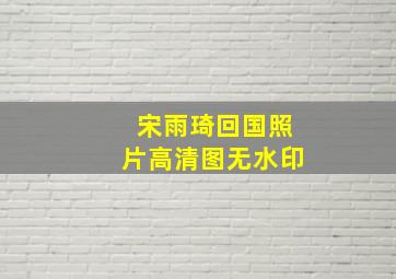 宋雨琦回国照片高清图无水印