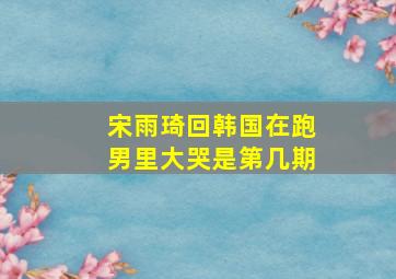 宋雨琦回韩国在跑男里大哭是第几期