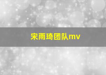 宋雨琦团队mv