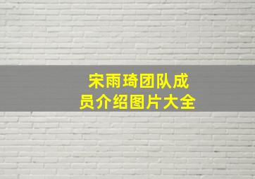 宋雨琦团队成员介绍图片大全