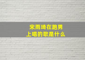 宋雨琦在跑男上唱的歌是什么