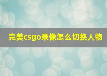 完美csgo录像怎么切换人物