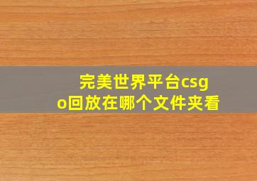 完美世界平台csgo回放在哪个文件夹看