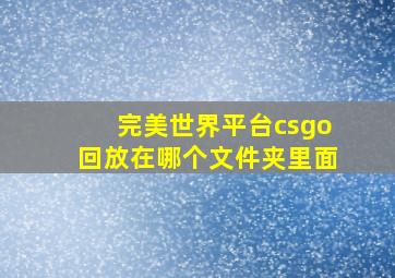 完美世界平台csgo回放在哪个文件夹里面