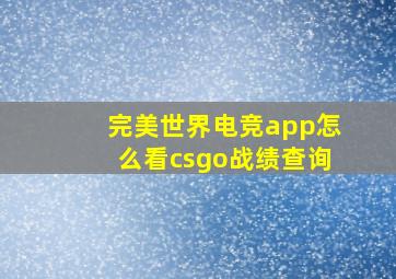 完美世界电竞app怎么看csgo战绩查询