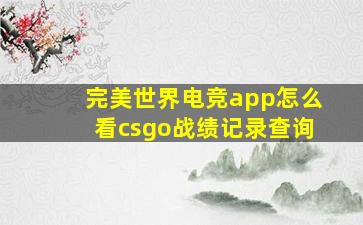 完美世界电竞app怎么看csgo战绩记录查询