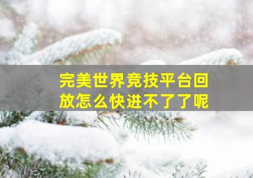 完美世界竞技平台回放怎么快进不了了呢