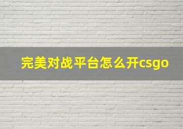 完美对战平台怎么开csgo