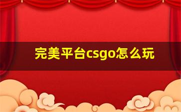 完美平台csgo怎么玩