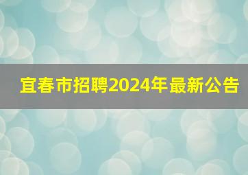 宜春市招聘2024年最新公告