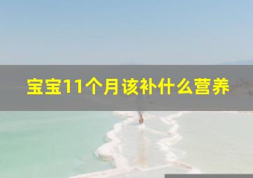 宝宝11个月该补什么营养