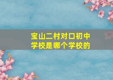 宝山二村对口初中学校是哪个学校的