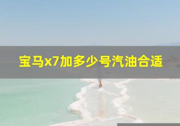 宝马x7加多少号汽油合适