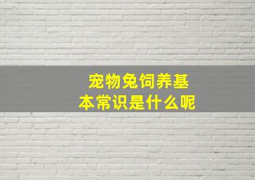 宠物兔饲养基本常识是什么呢