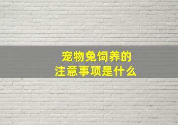 宠物兔饲养的注意事项是什么