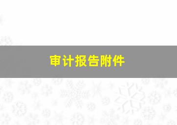 审计报告附件