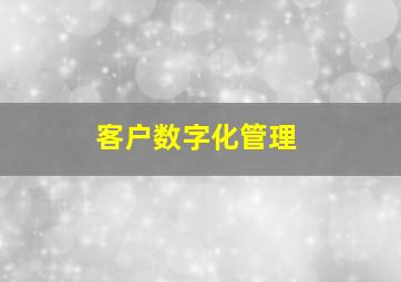 客户数字化管理