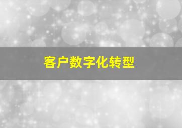 客户数字化转型