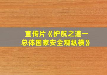 宣传片《护航之道一总体国家安全观纵横》