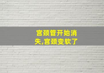 宫颈管开始消失,宫颈变软了