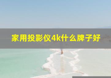 家用投影仪4k什么牌子好