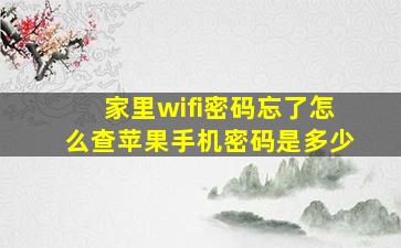 家里wifi密码忘了怎么查苹果手机密码是多少