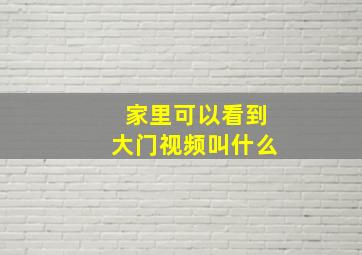 家里可以看到大门视频叫什么