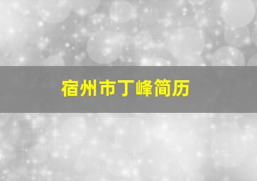 宿州市丁峰简历